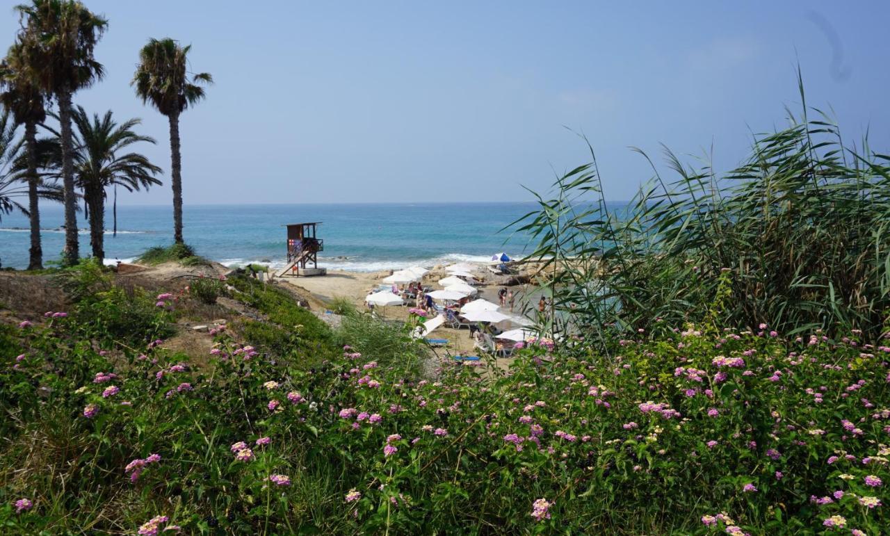 Paphos Gardens, Near Beach Ngoại thất bức ảnh